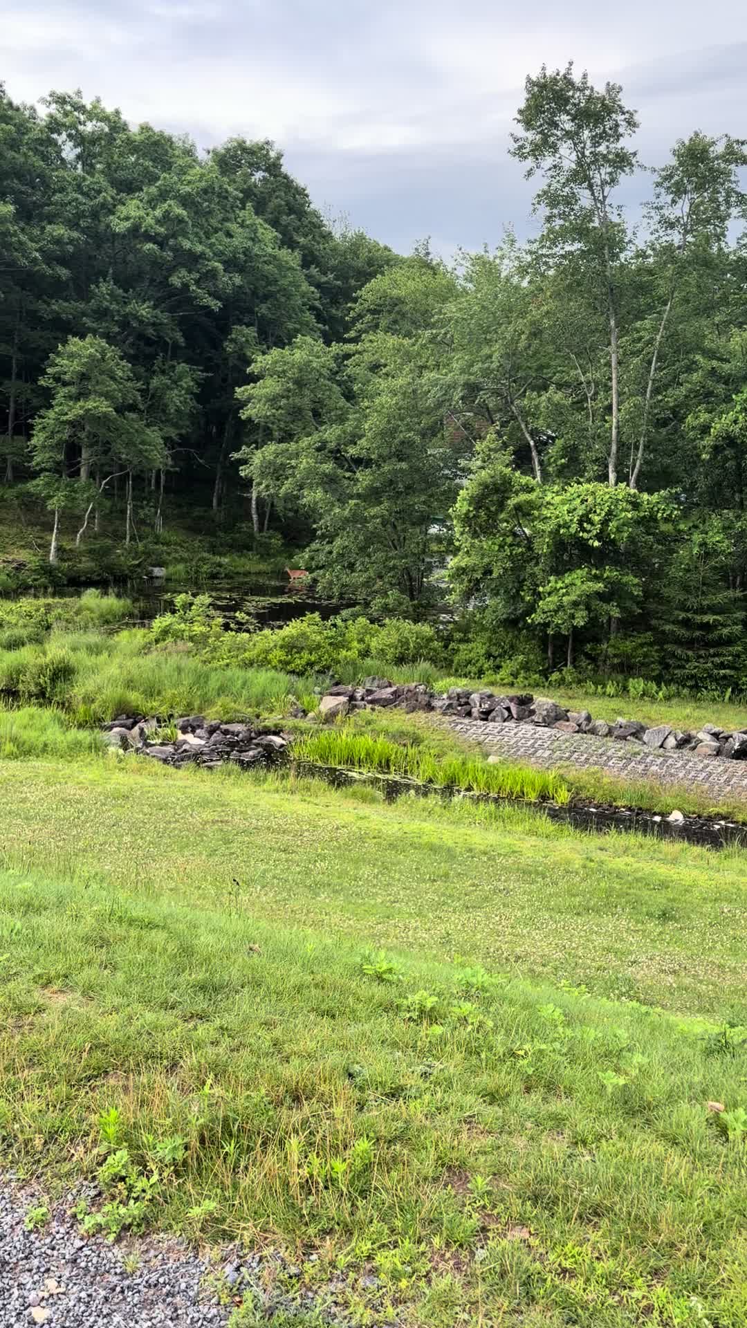 @Anita 🦌🌳