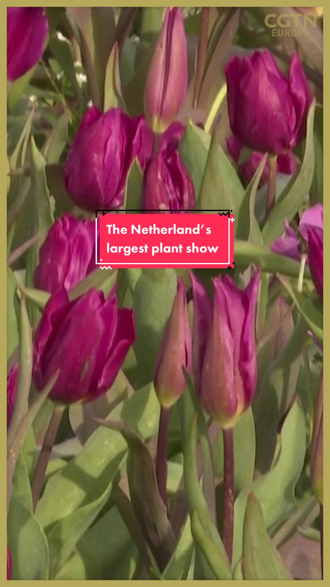 @ourplanetneedsyou