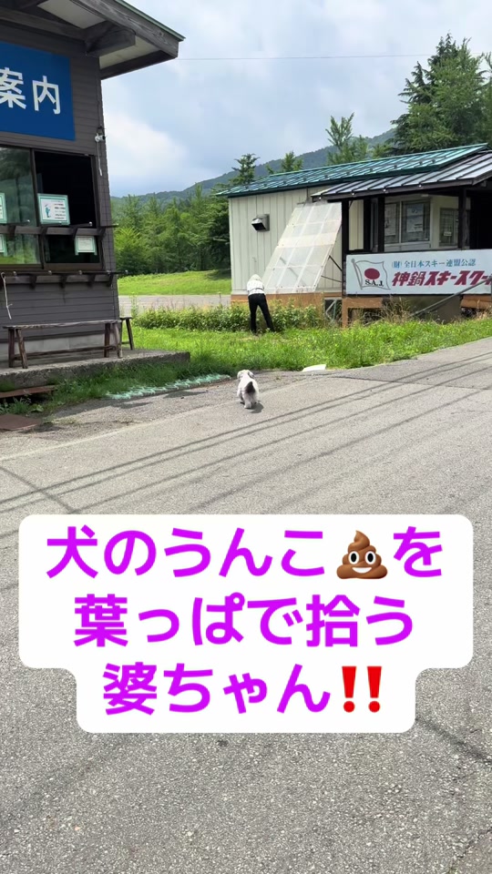 @もっさん