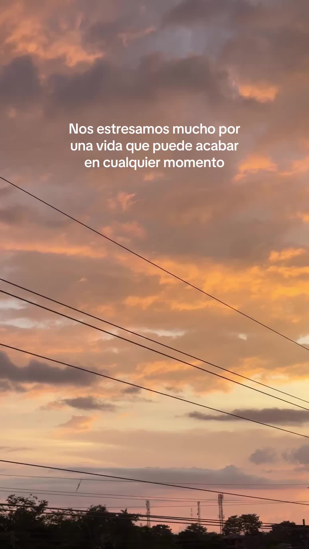 @Paz Marie