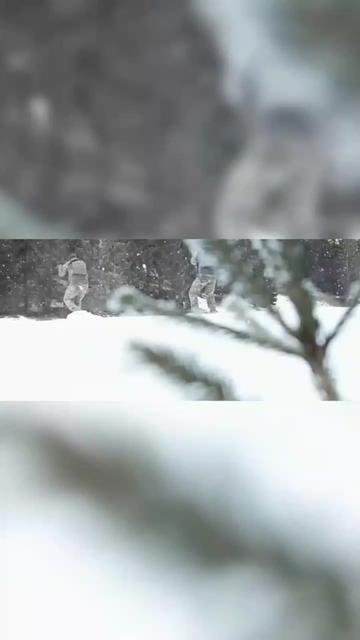 @militaryinfo_
