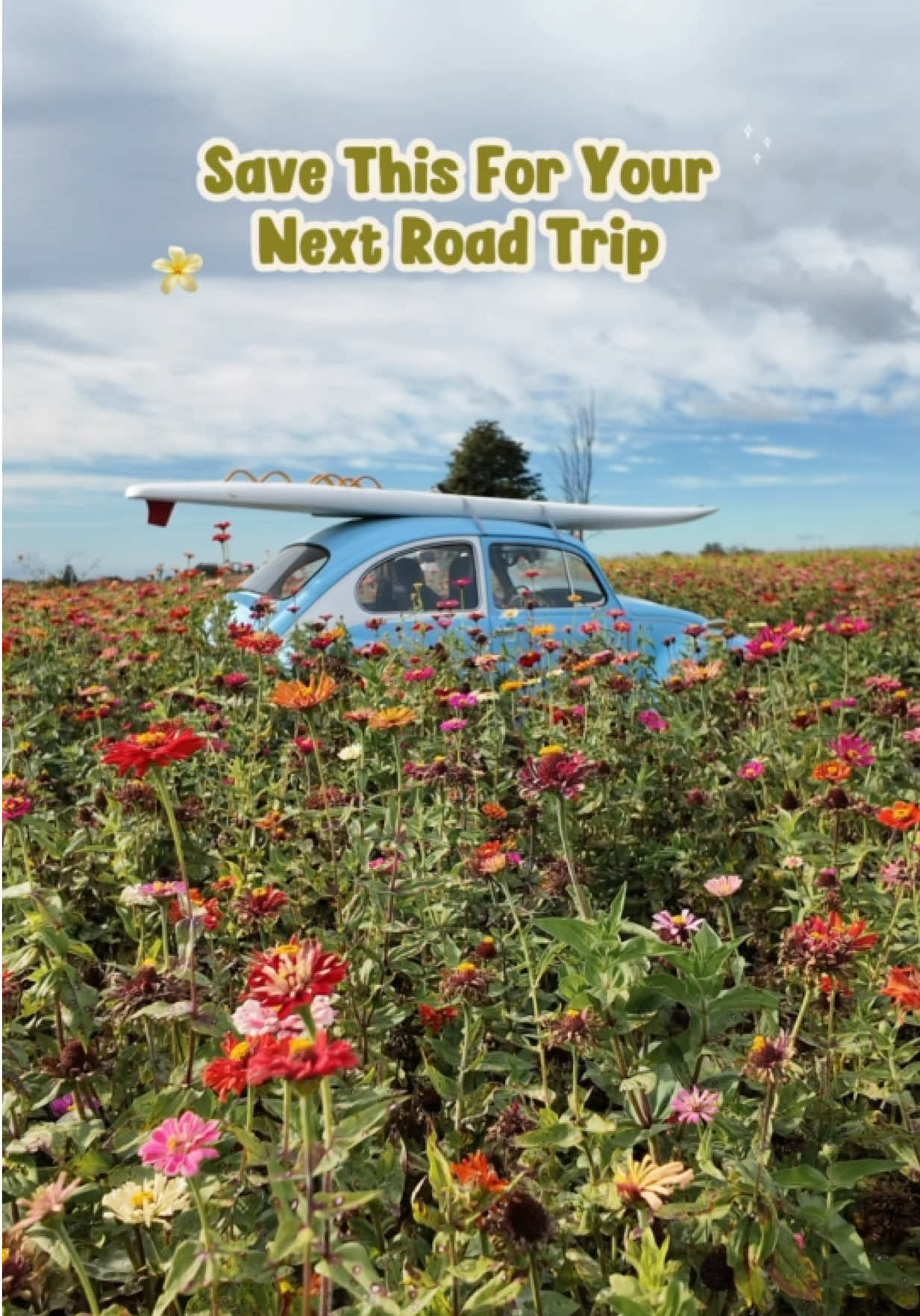 @Kayla Logan