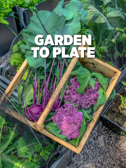 @Planted in the Garden
