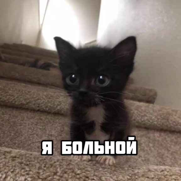 @✨🌈соня🌈✨
