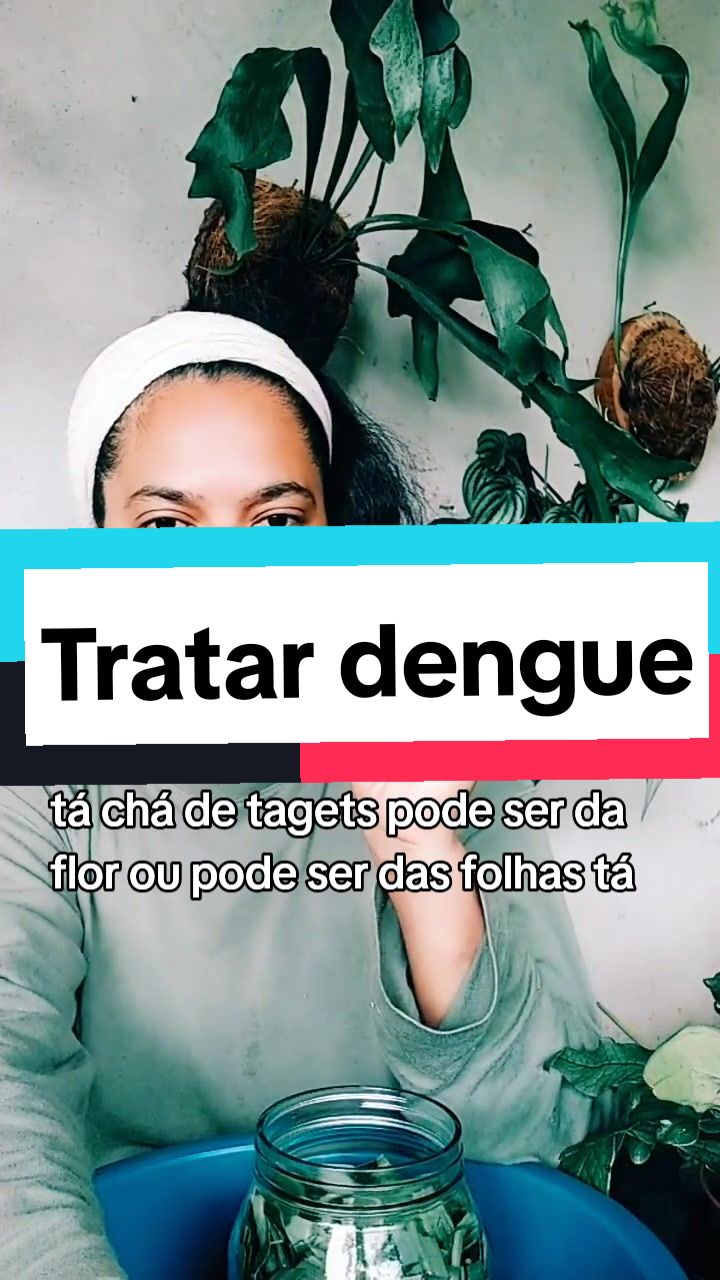 @Plantas
