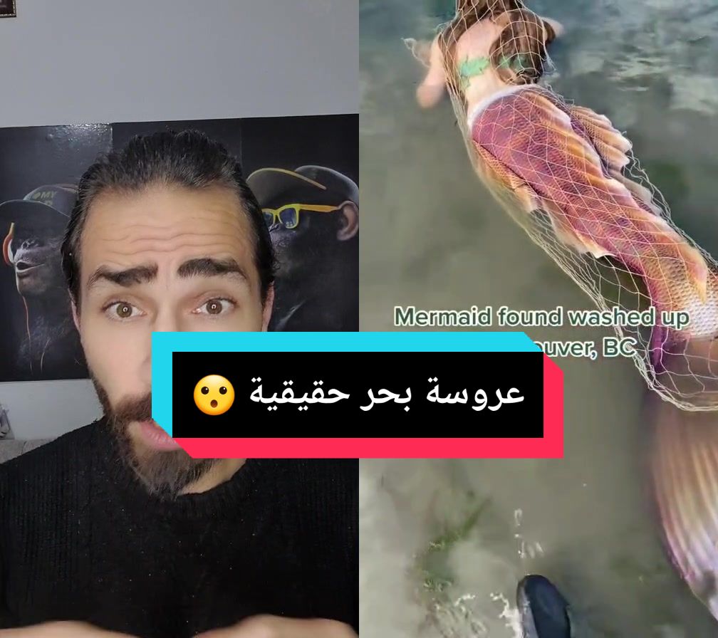 @Amr Farouk