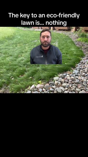 @Twincityseed