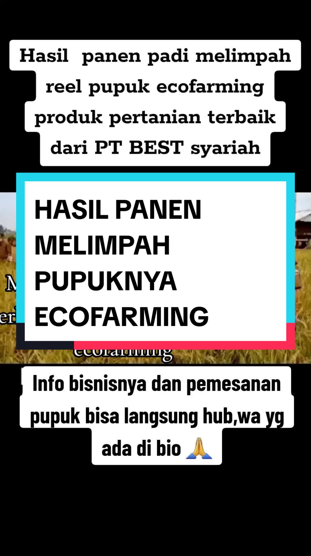 @yonosinergy