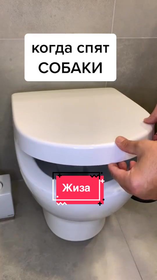 @Йорк Донни 🇺🇦