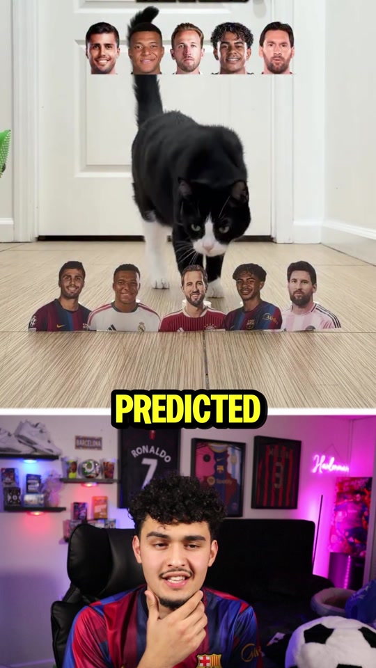 @Hanlonman