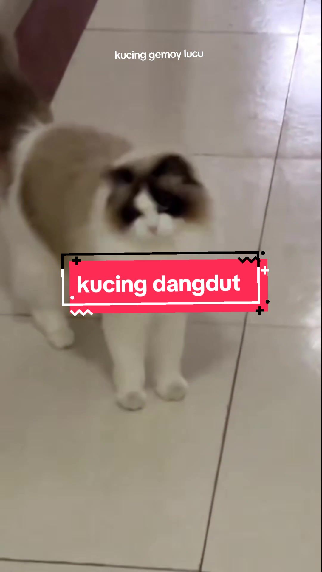 @Hari Raffa Raska