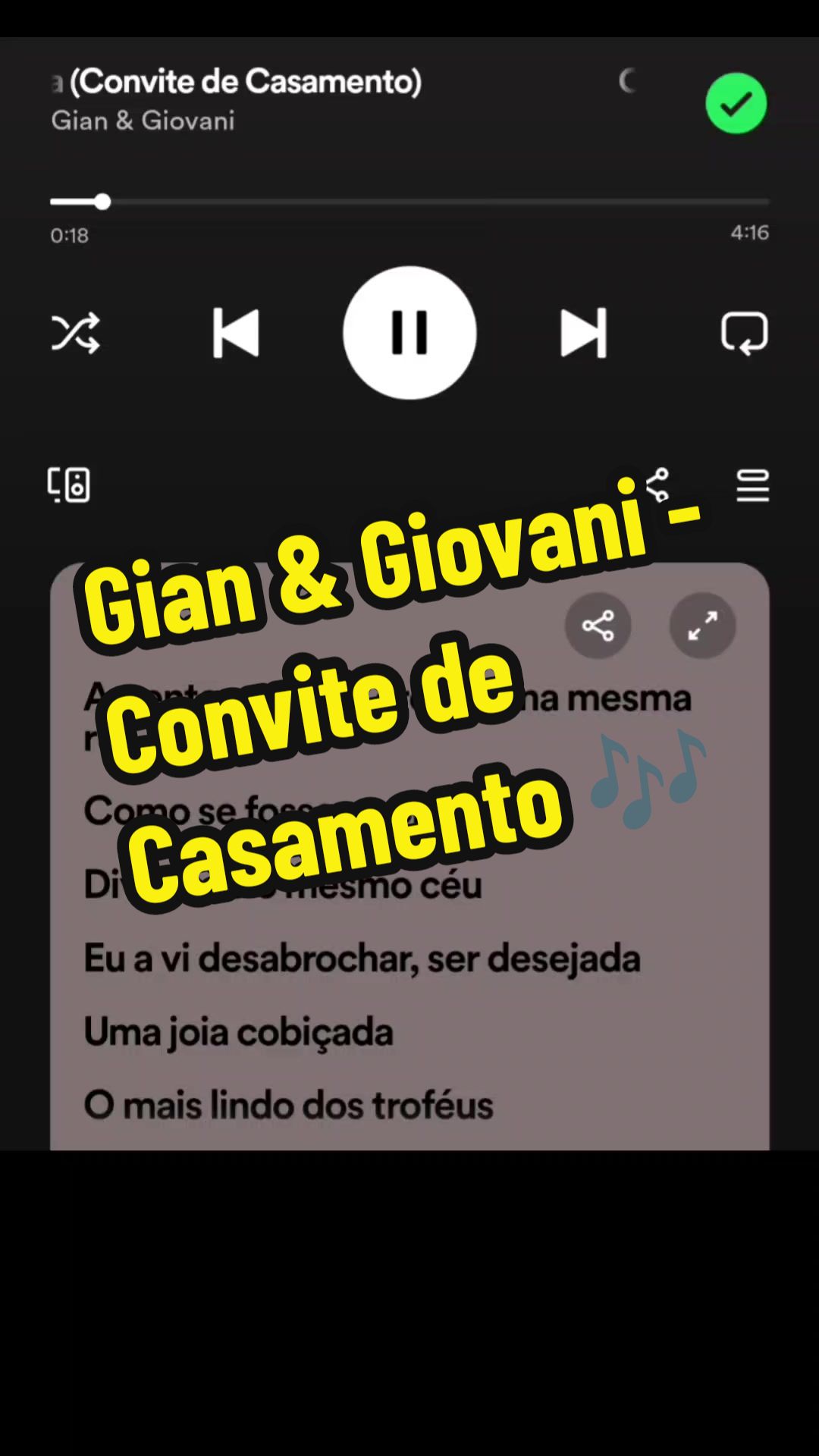 @_SubtitledSongs