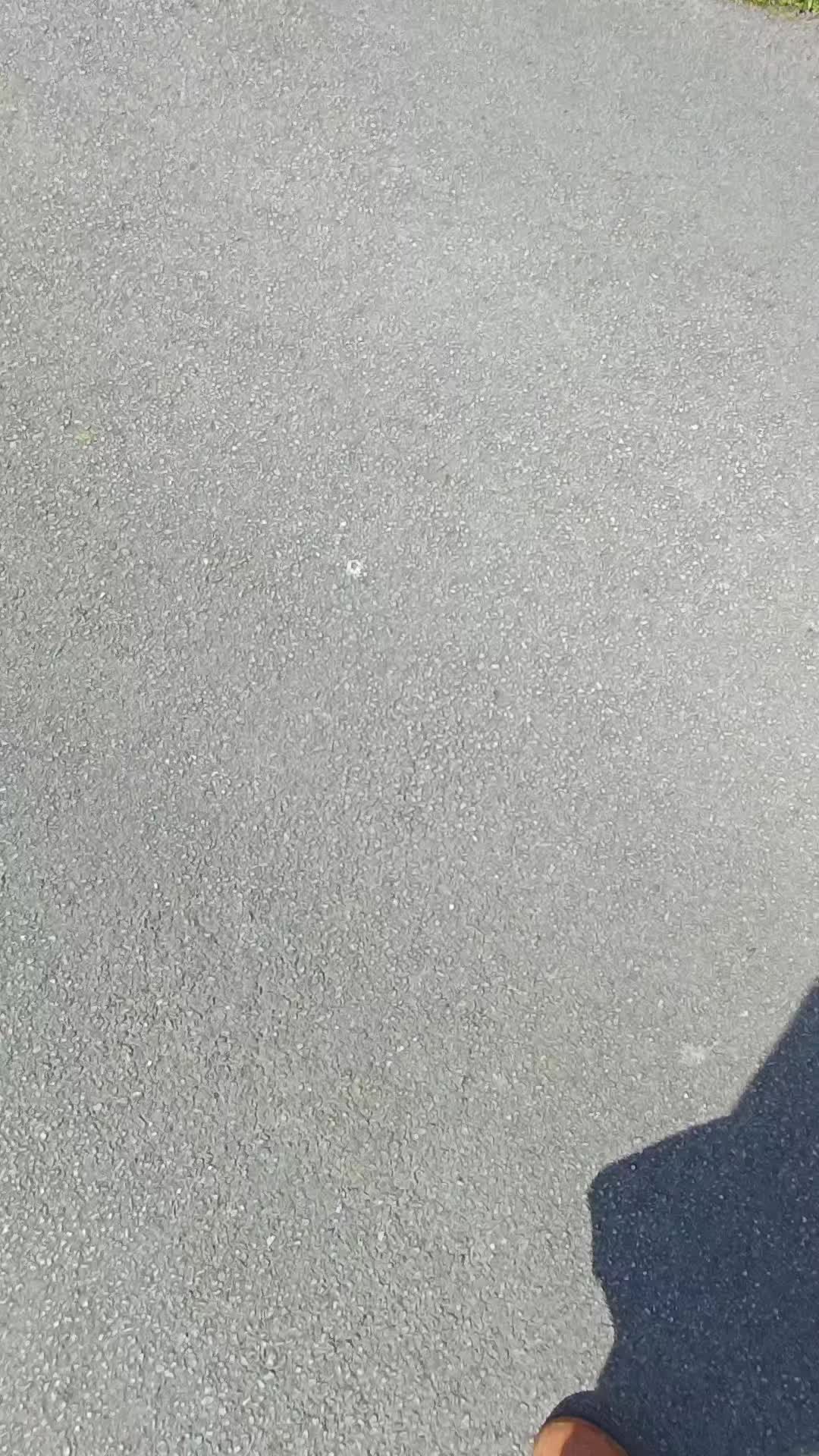 @yorkshirelassuk
