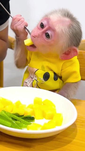 @Lilymonkey