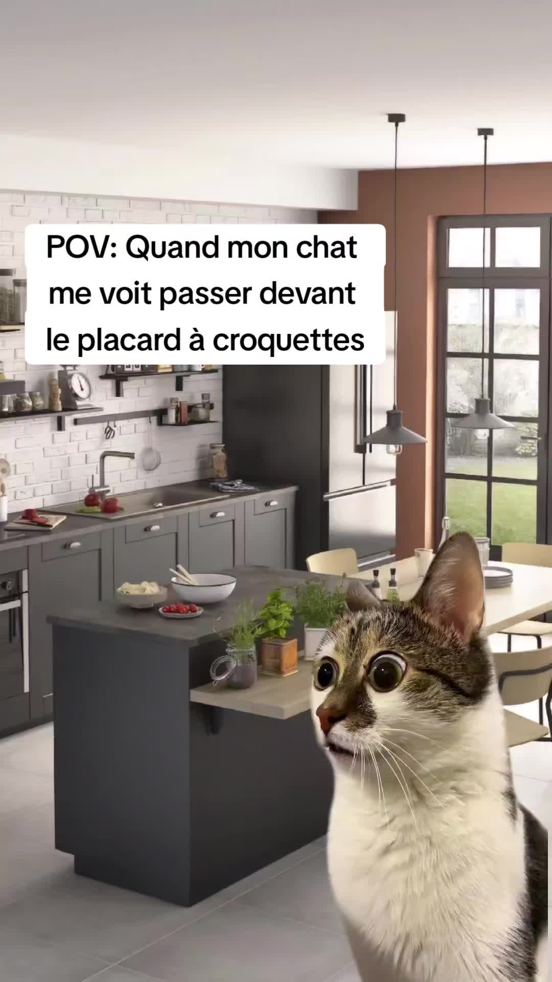 @BenjiMRT🇨🇵⚜️🚨