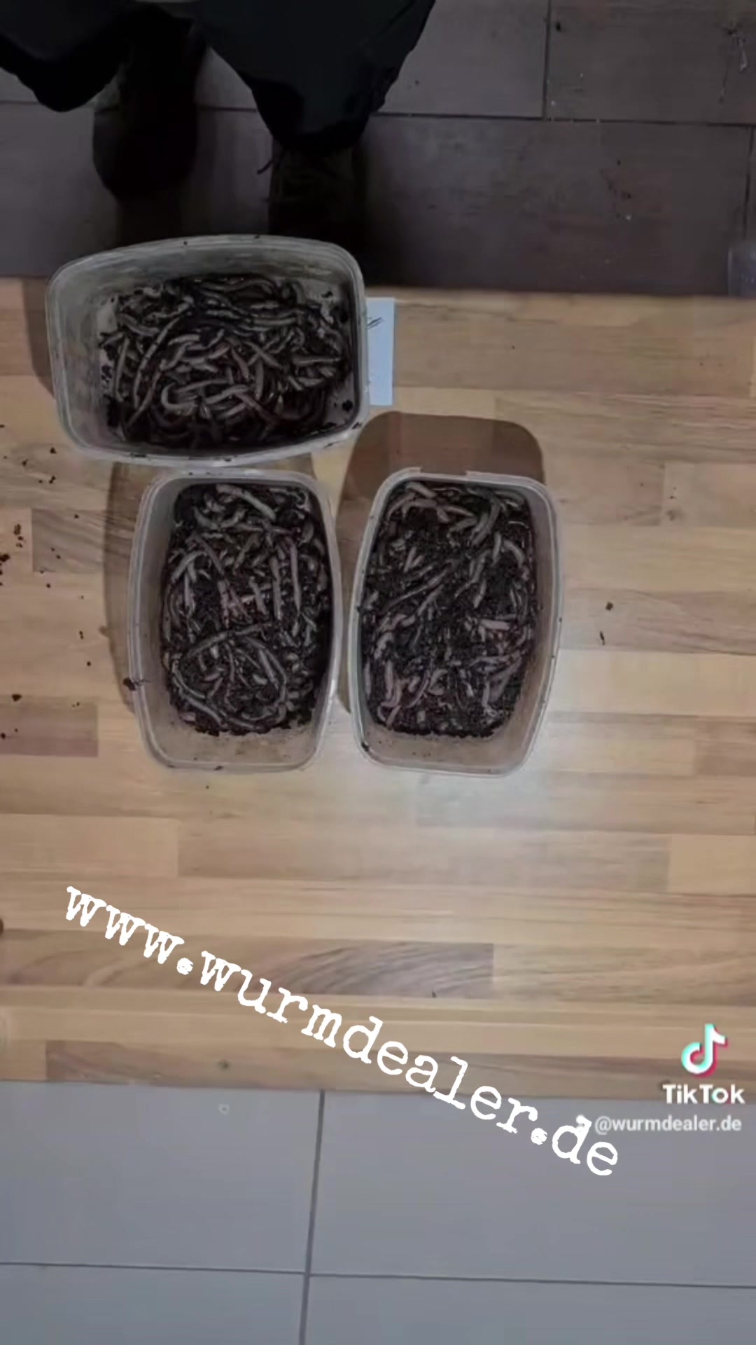 @wurmdealer.de