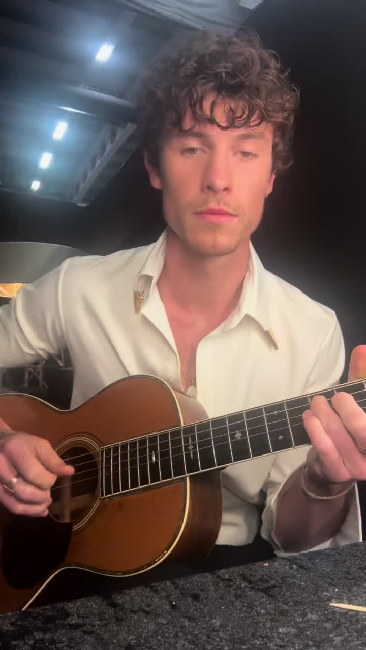 @Shawn Mendes
