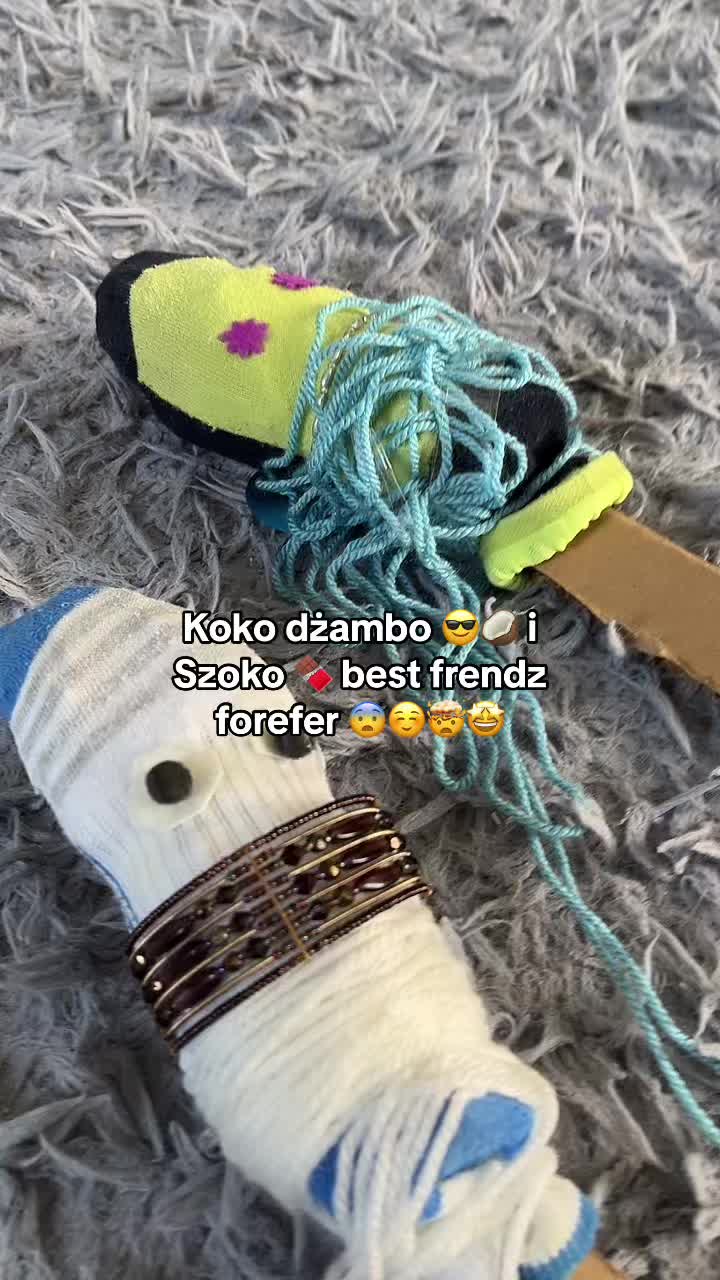 @Hibbi.horse 🐴