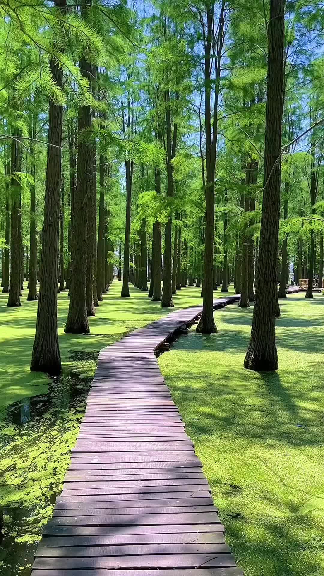 @Traveler