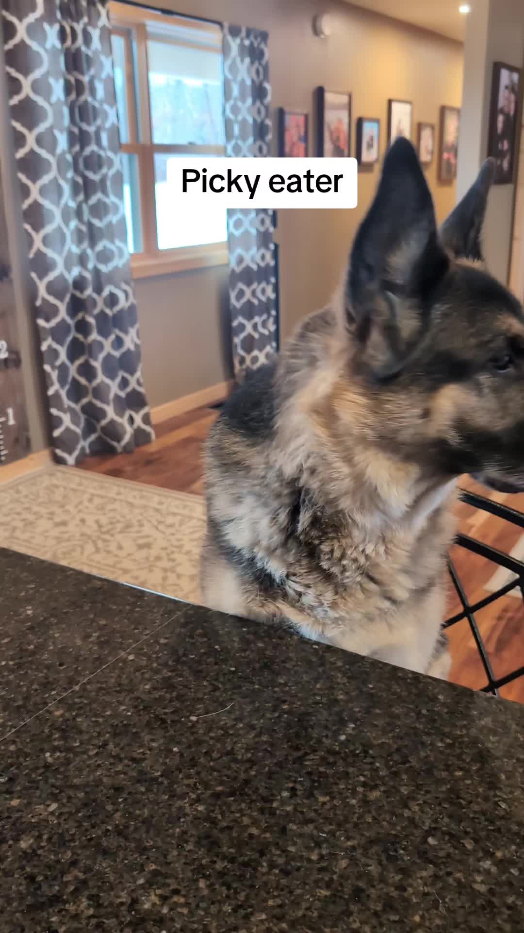 @Kolt - GSD