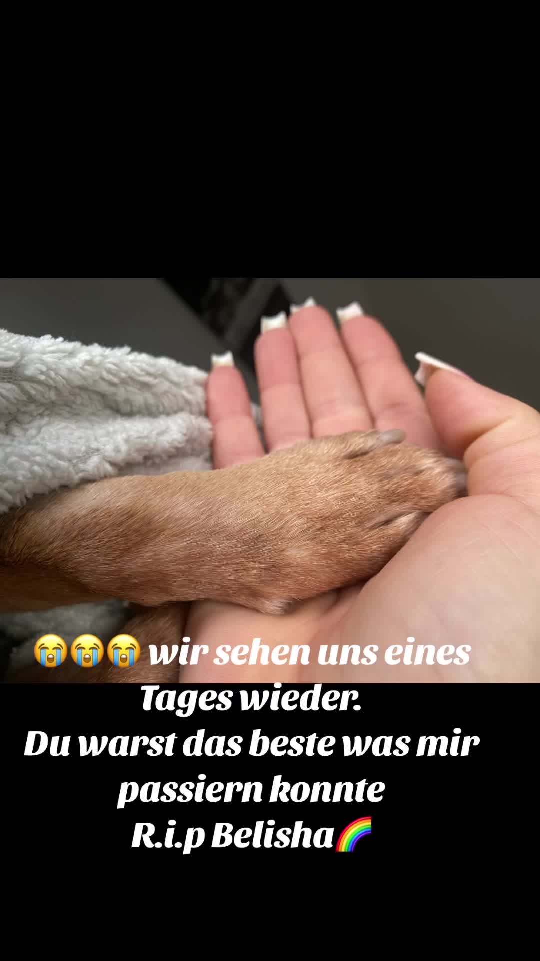 @Raffaella__84