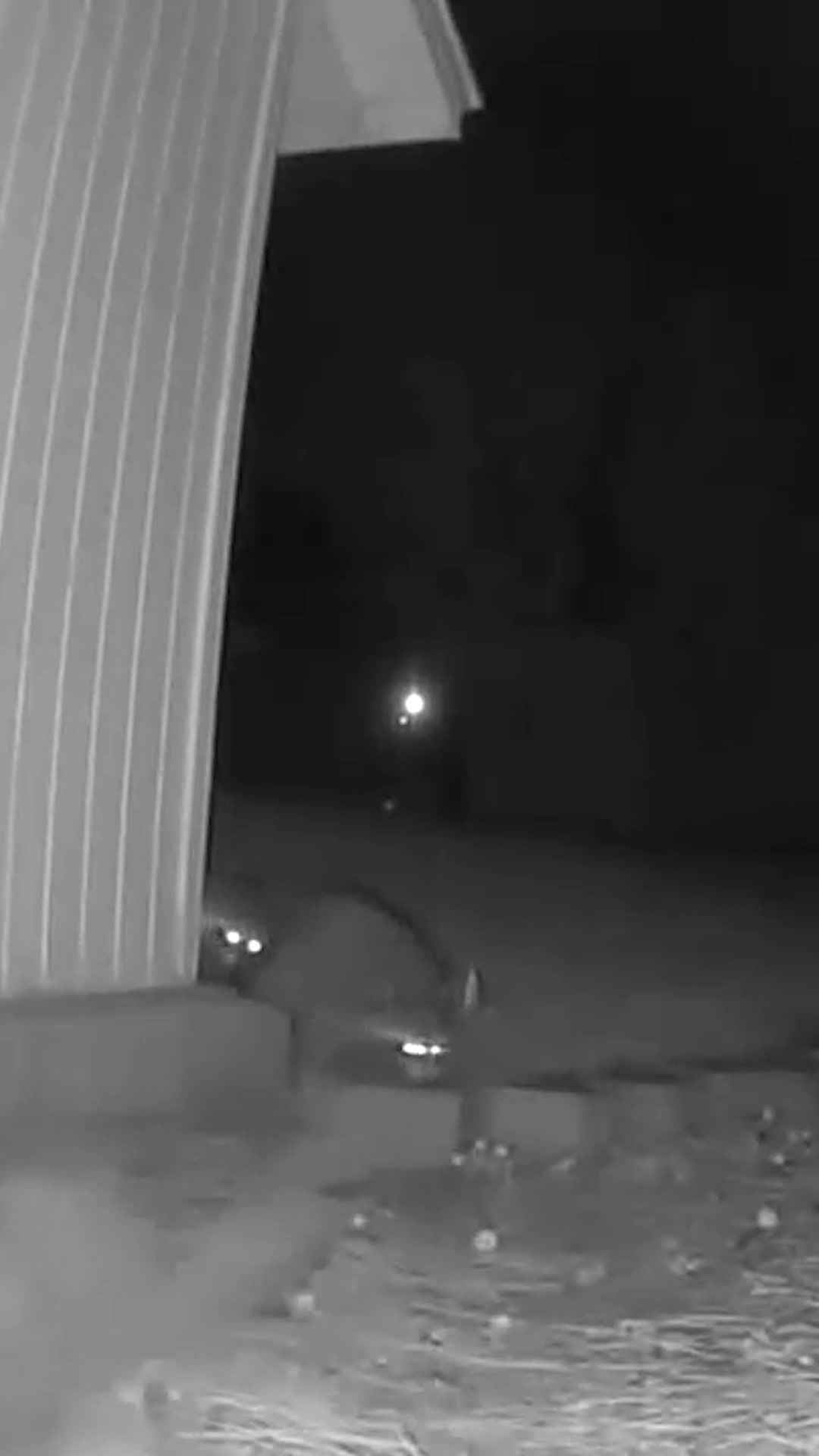@F🦊XSEE👀Footage🎞️