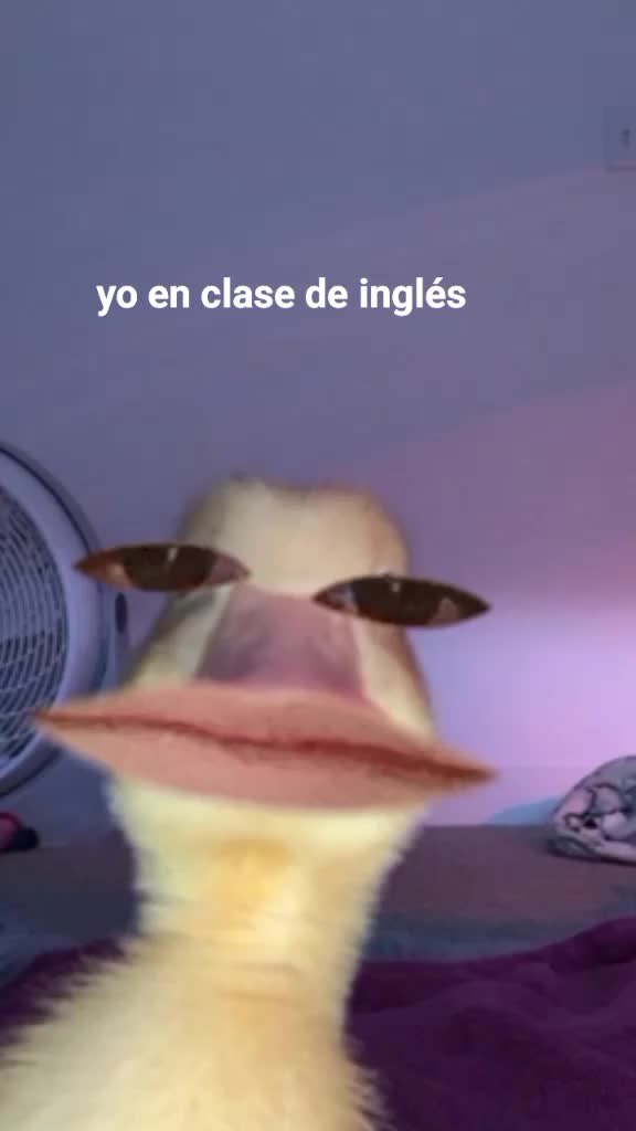 @Dayre