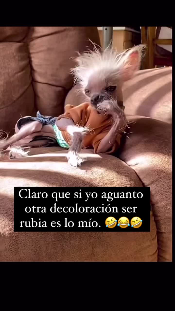 @🧿💎🦋susanadulceamor🦋💎🧿