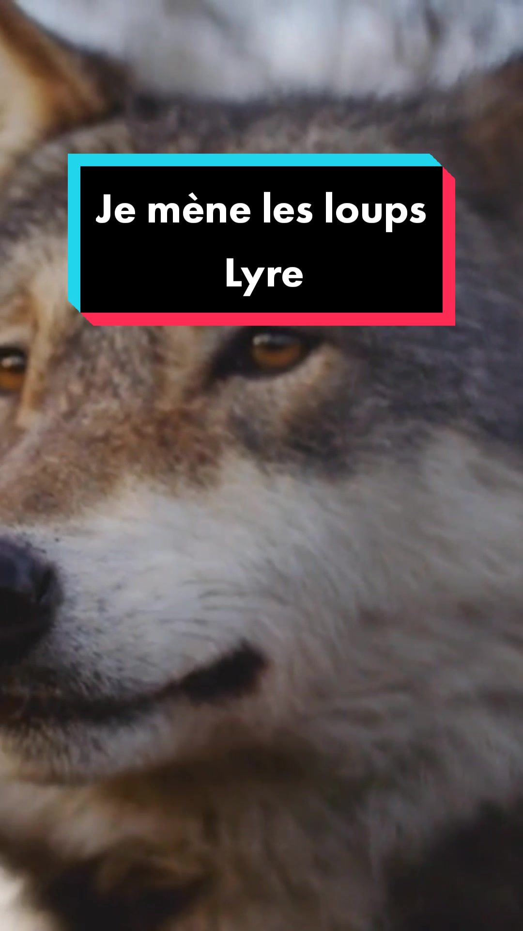 @Mathilde