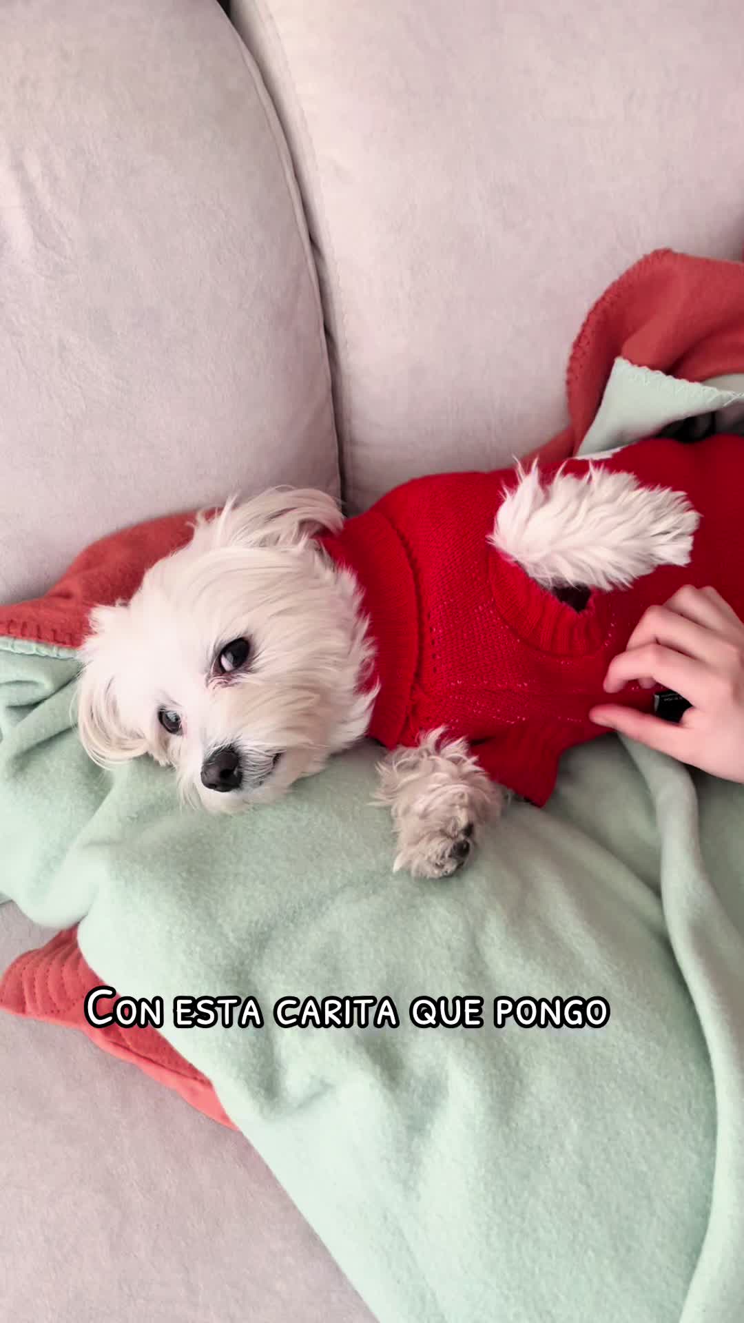@Darla 🧡🐶🧡