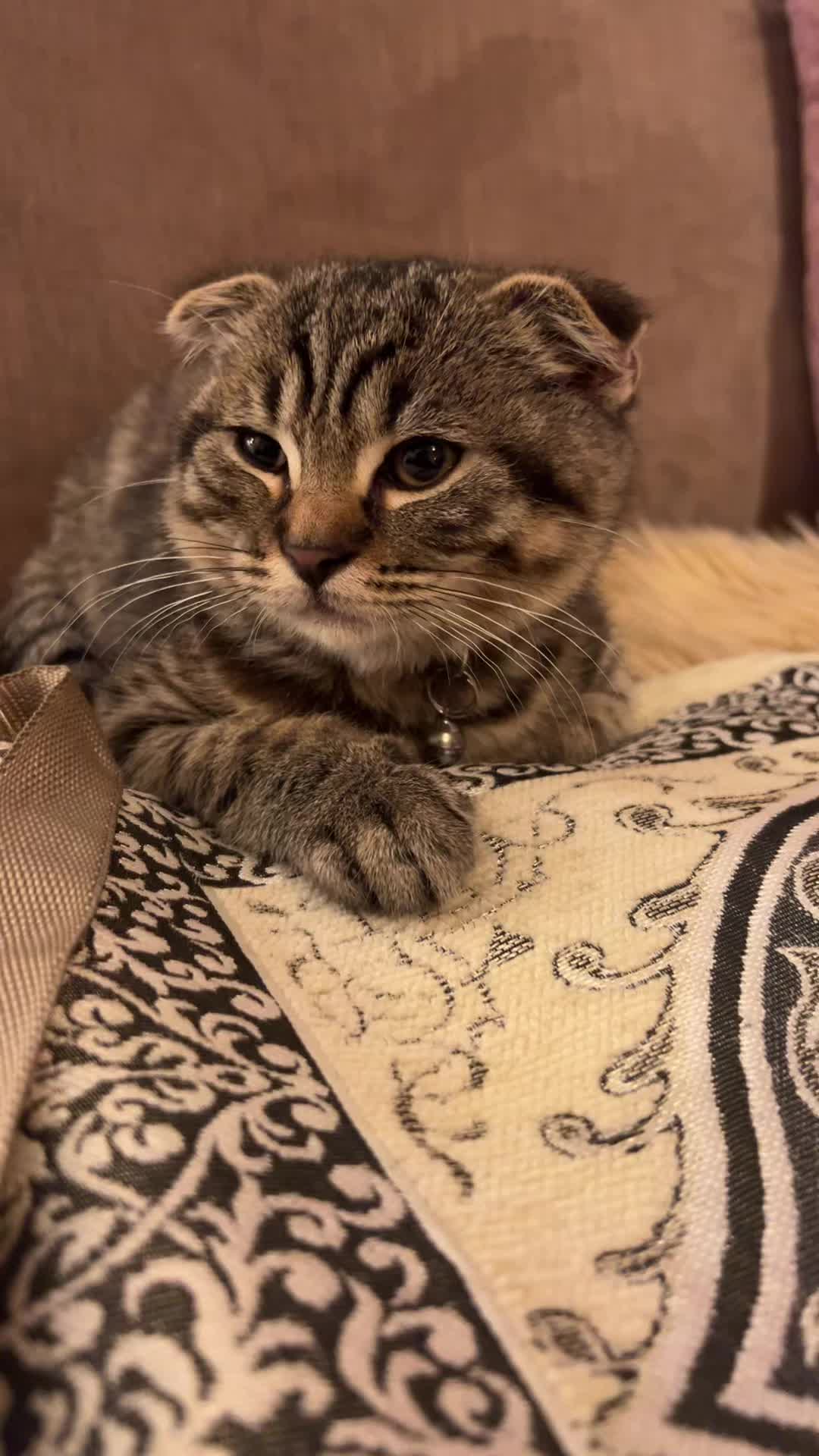 @ูููู๐
