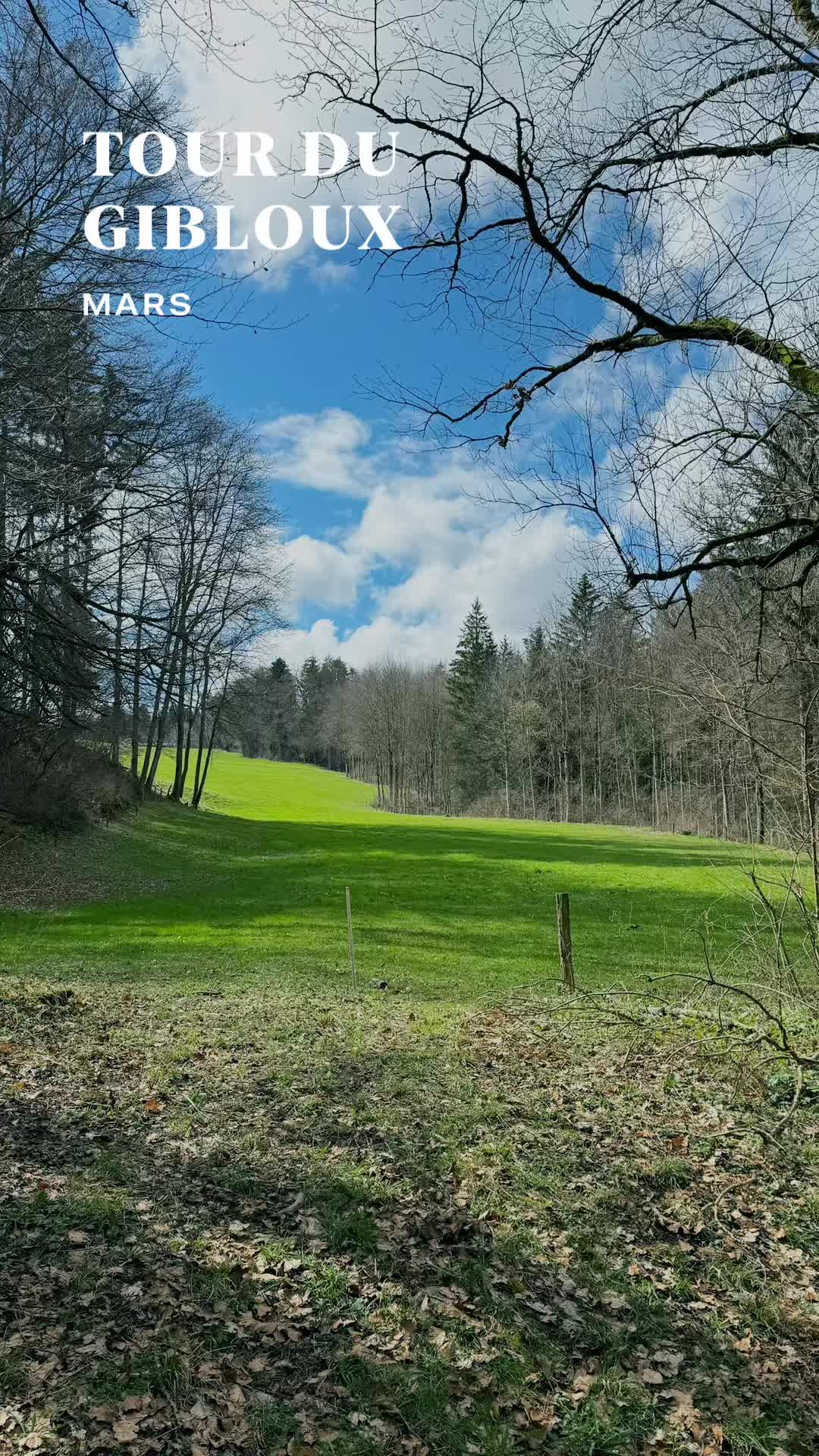 @Jojo_bizze