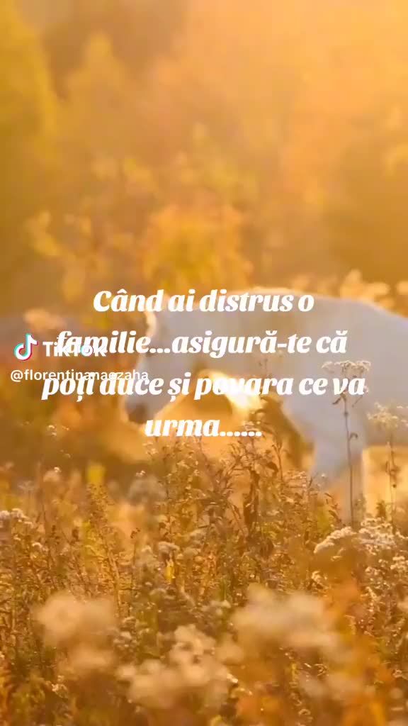 @alina🫶💙🍀