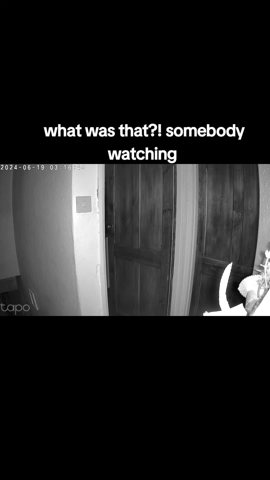 @shauneen