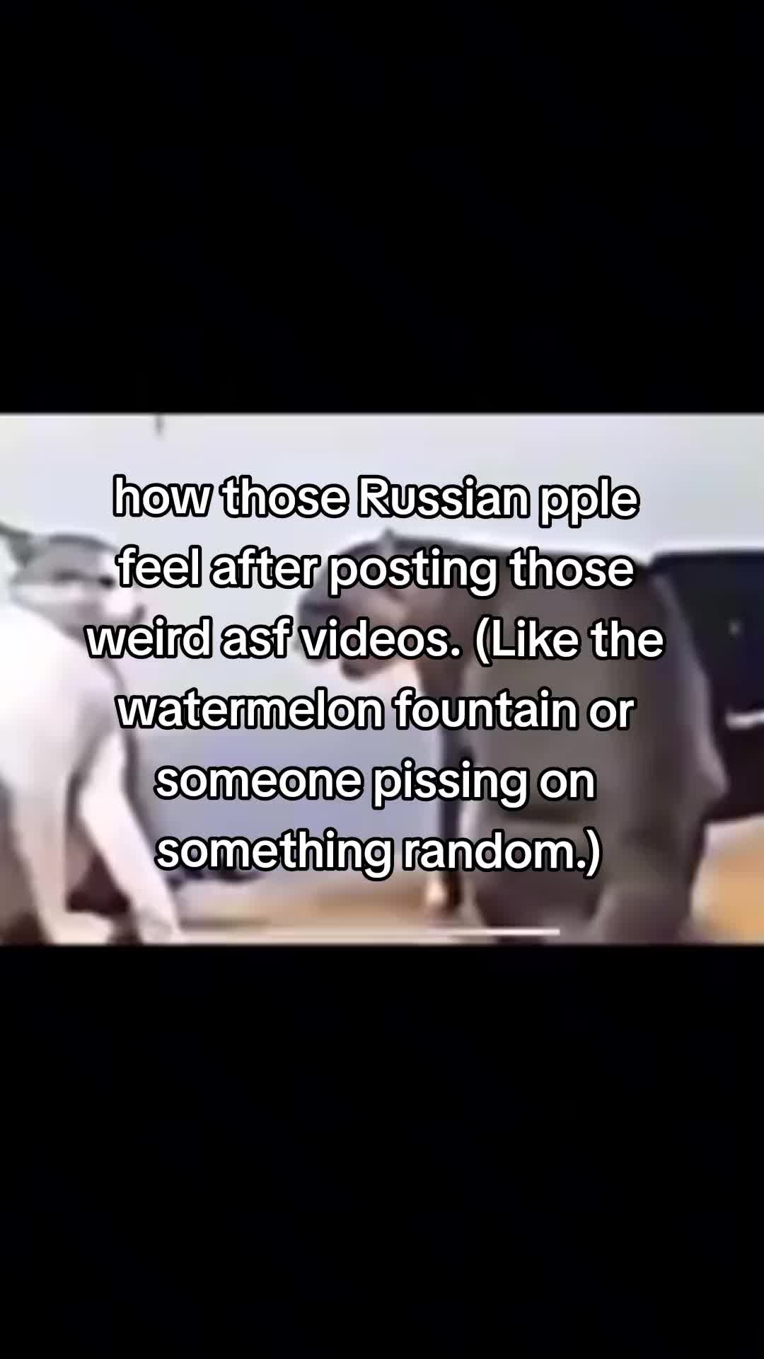 @彡✮𝐮𝐜𝐡𝐢𝐡𝐚!! ᝰ.ᐟ 🍥