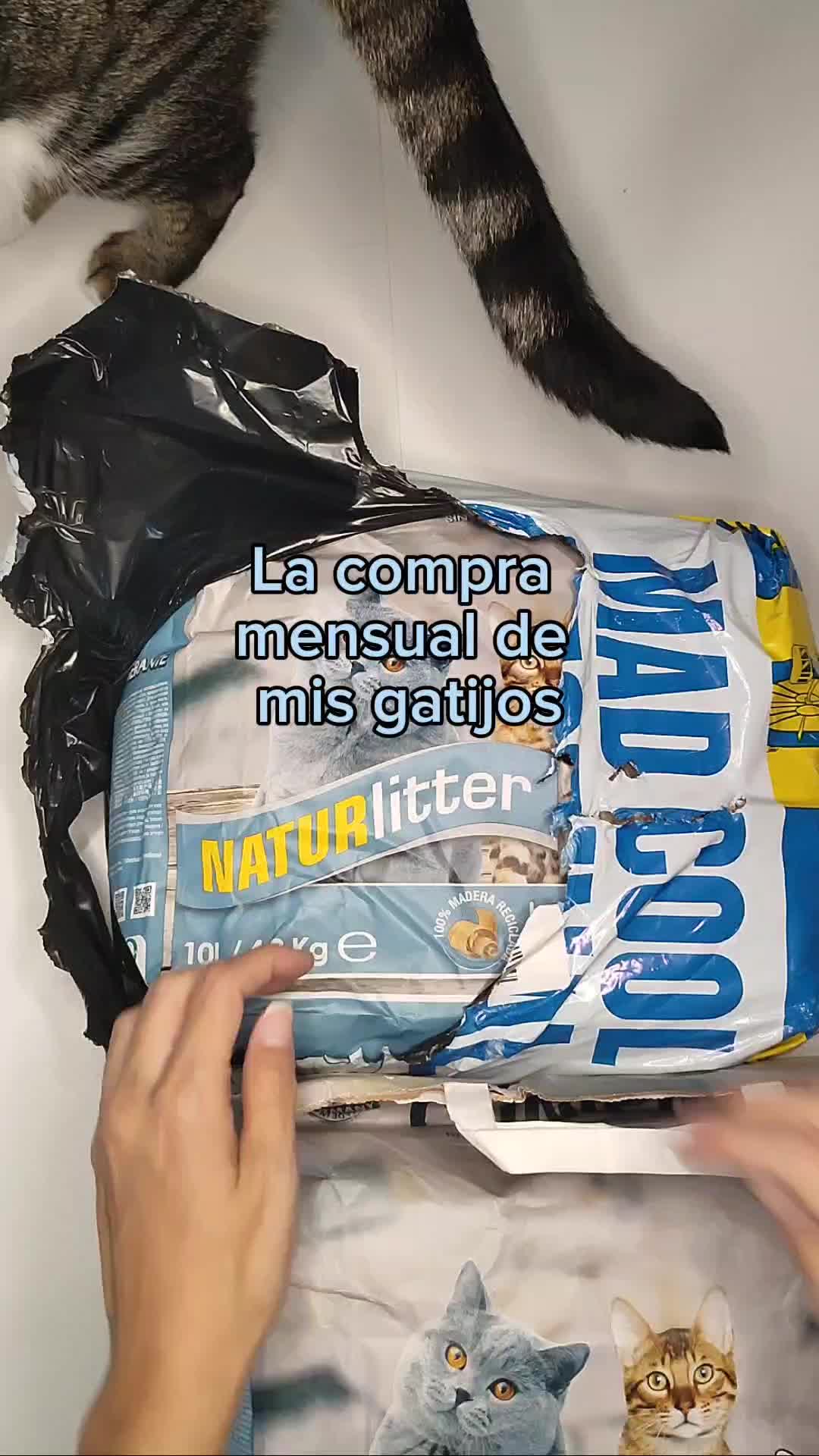 @Cooper, Arya, Aru y Sully 🐾