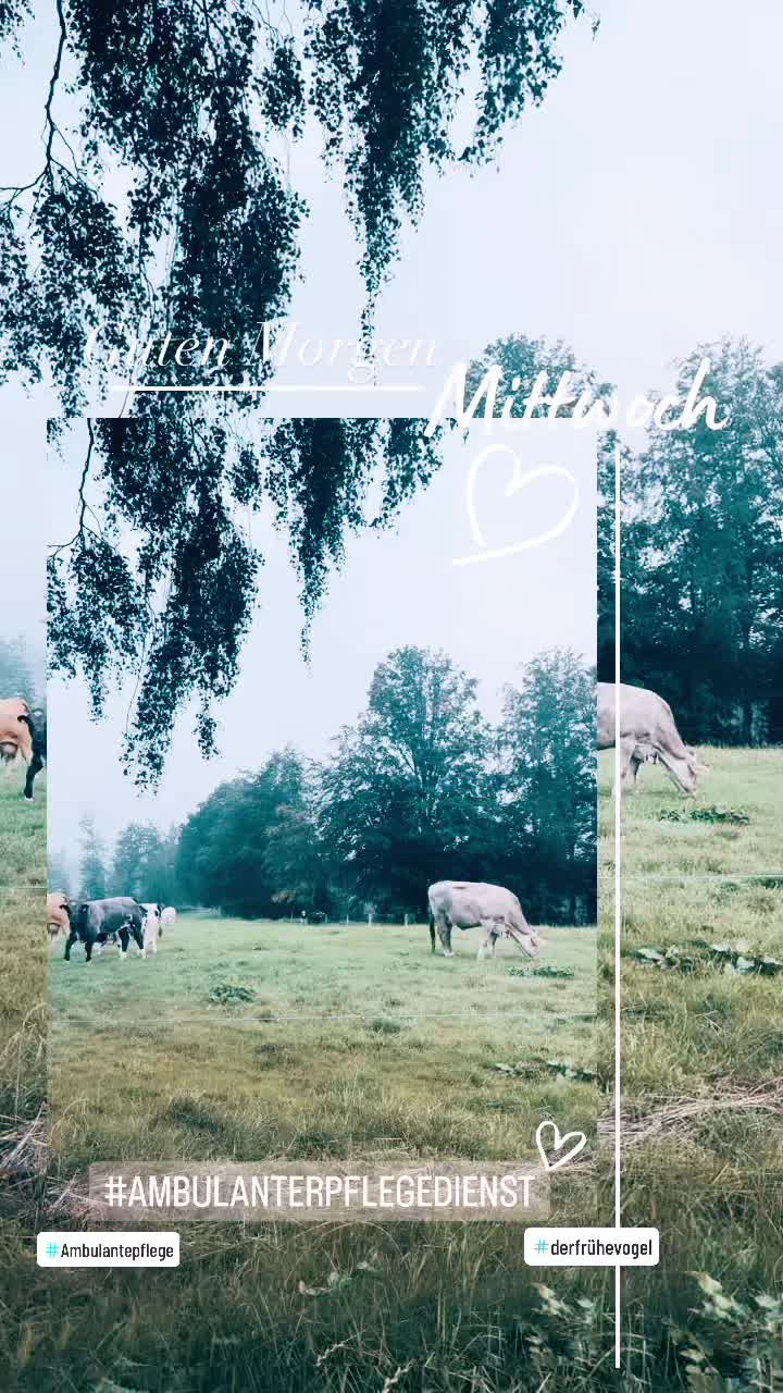 @Pfld. Pflegeleicht NRW GmbH