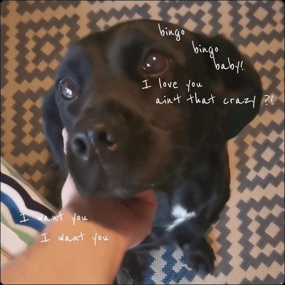 @ronnie