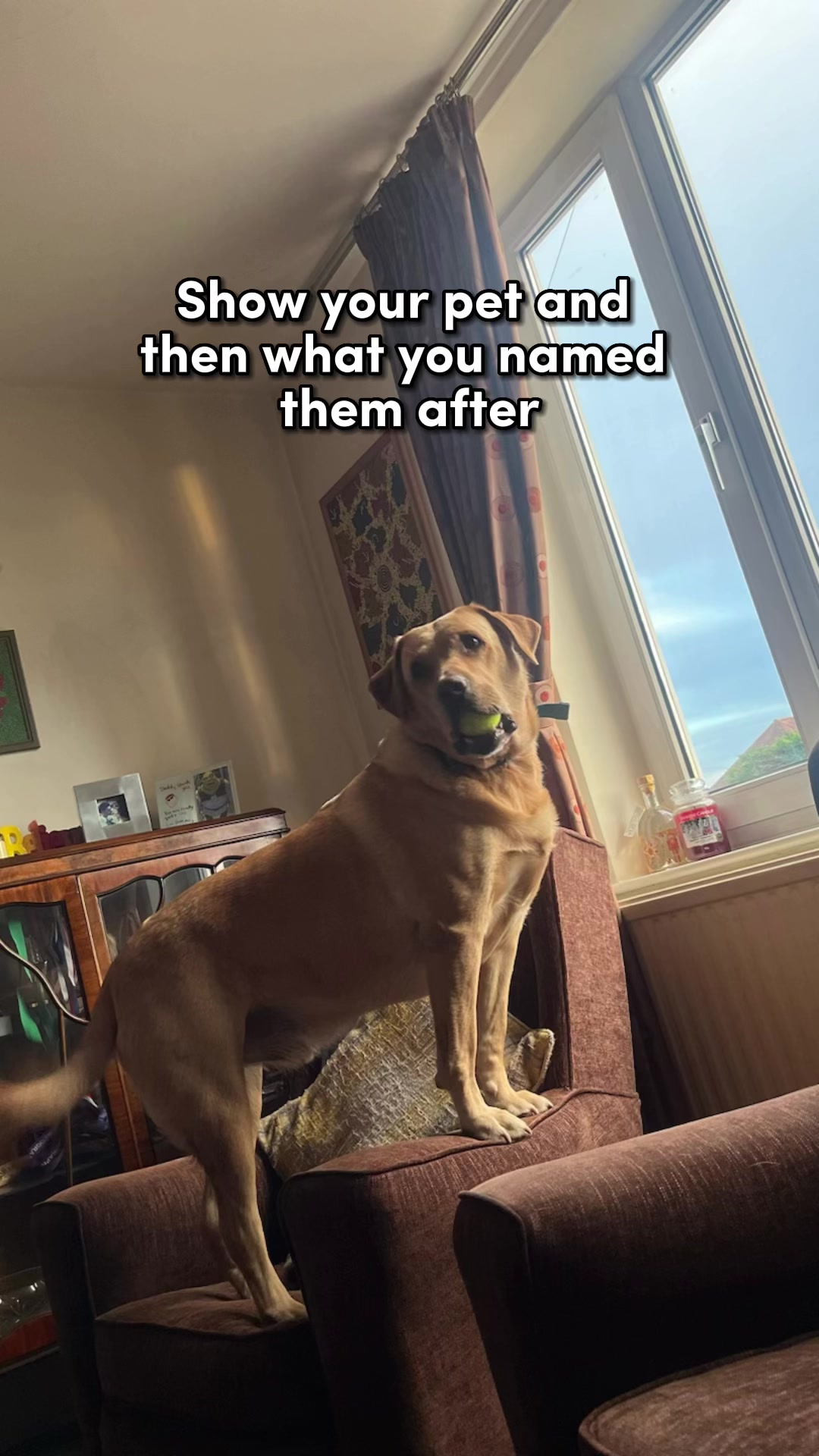 @Max