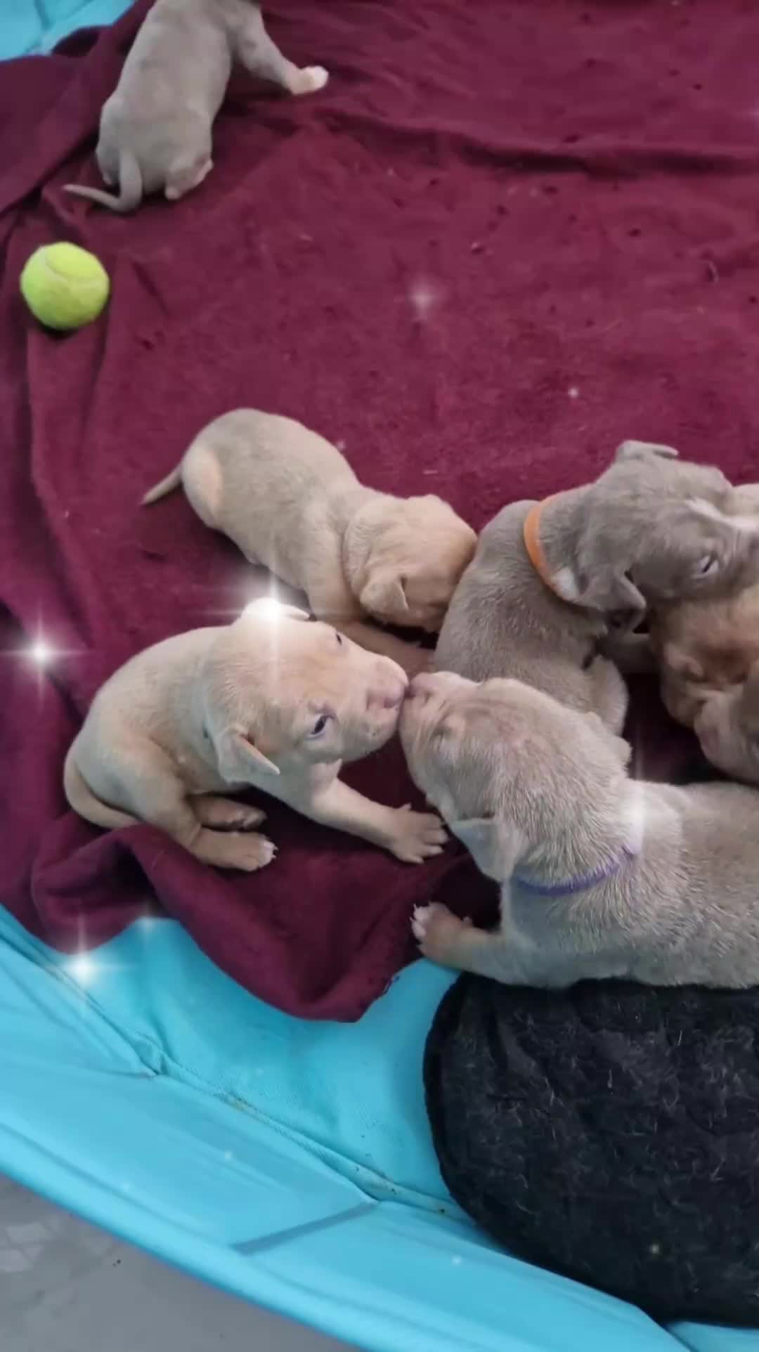 @Baby'sNala