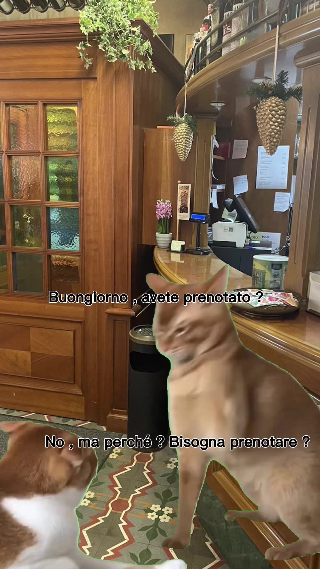 @Isabella Pesenti