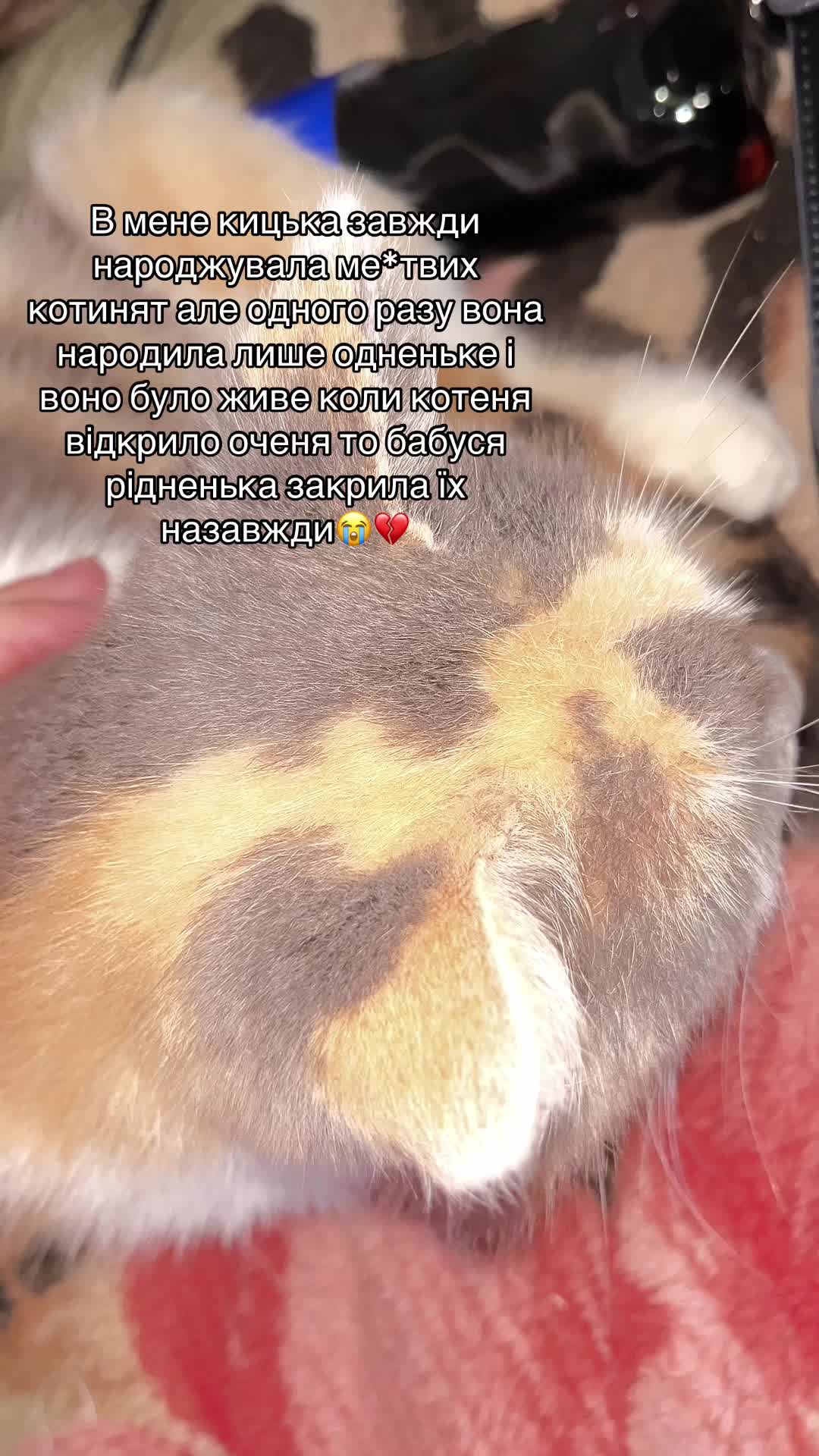 @olegivna_aa