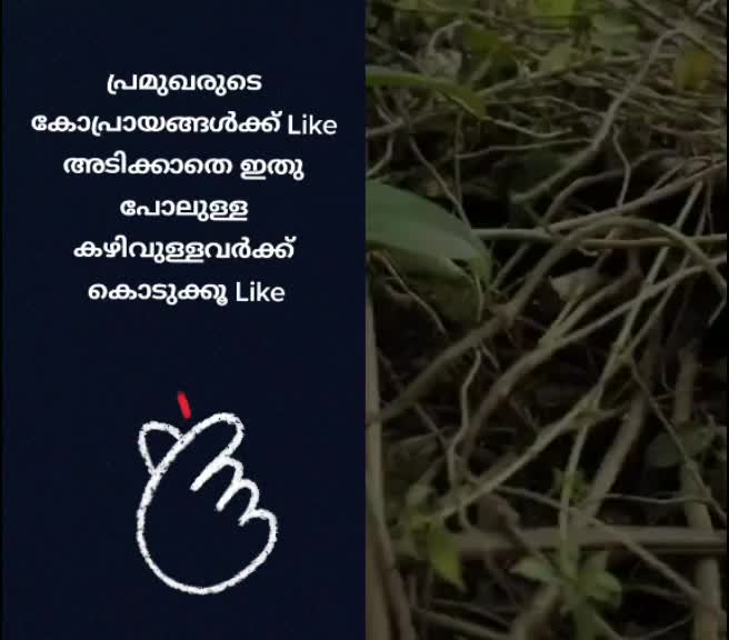 @๐ถ ๐ง ๐ฎ ๐ฐ ๐ฟ