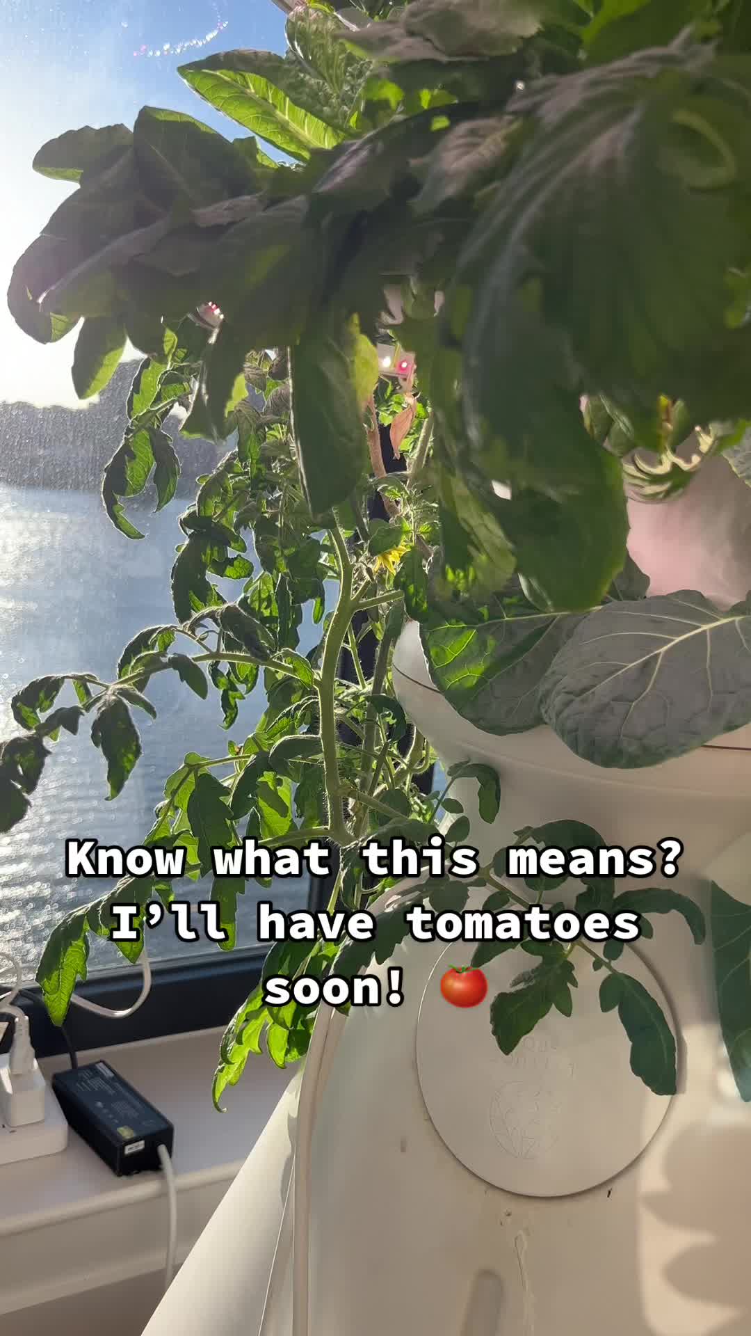 @Kristen