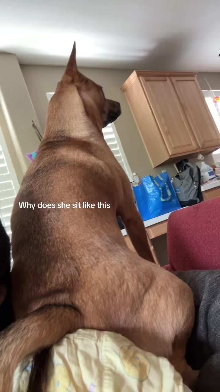 @Hailun