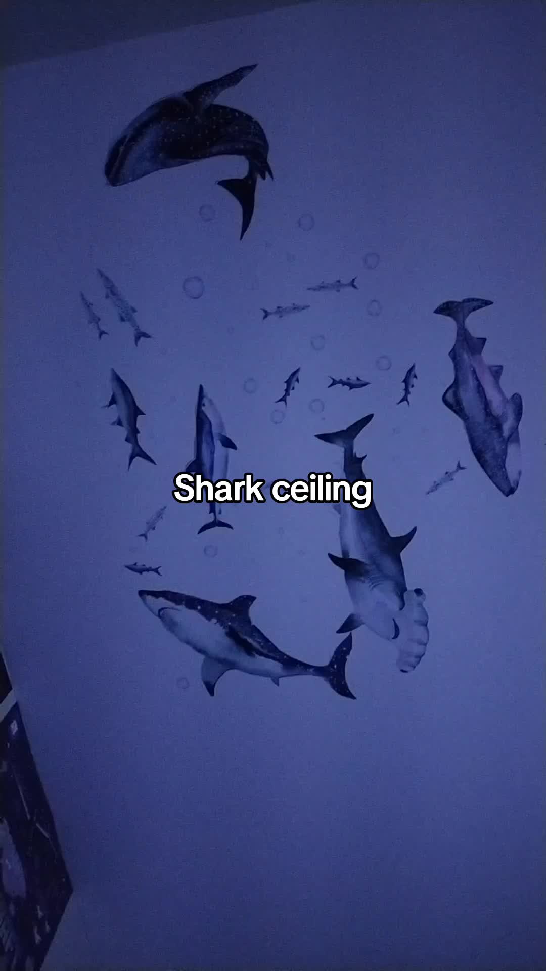 @Ash