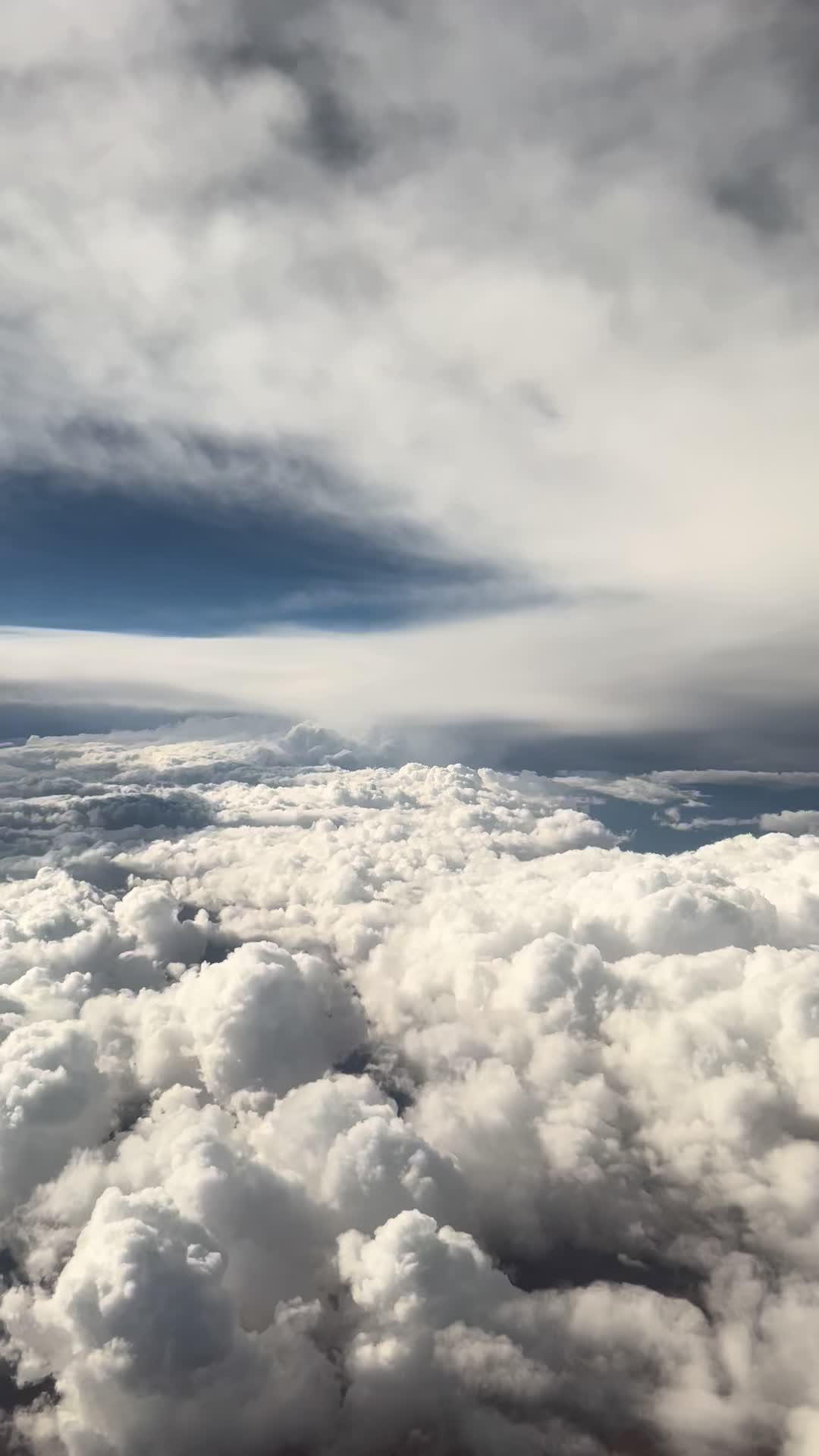 @Artylane