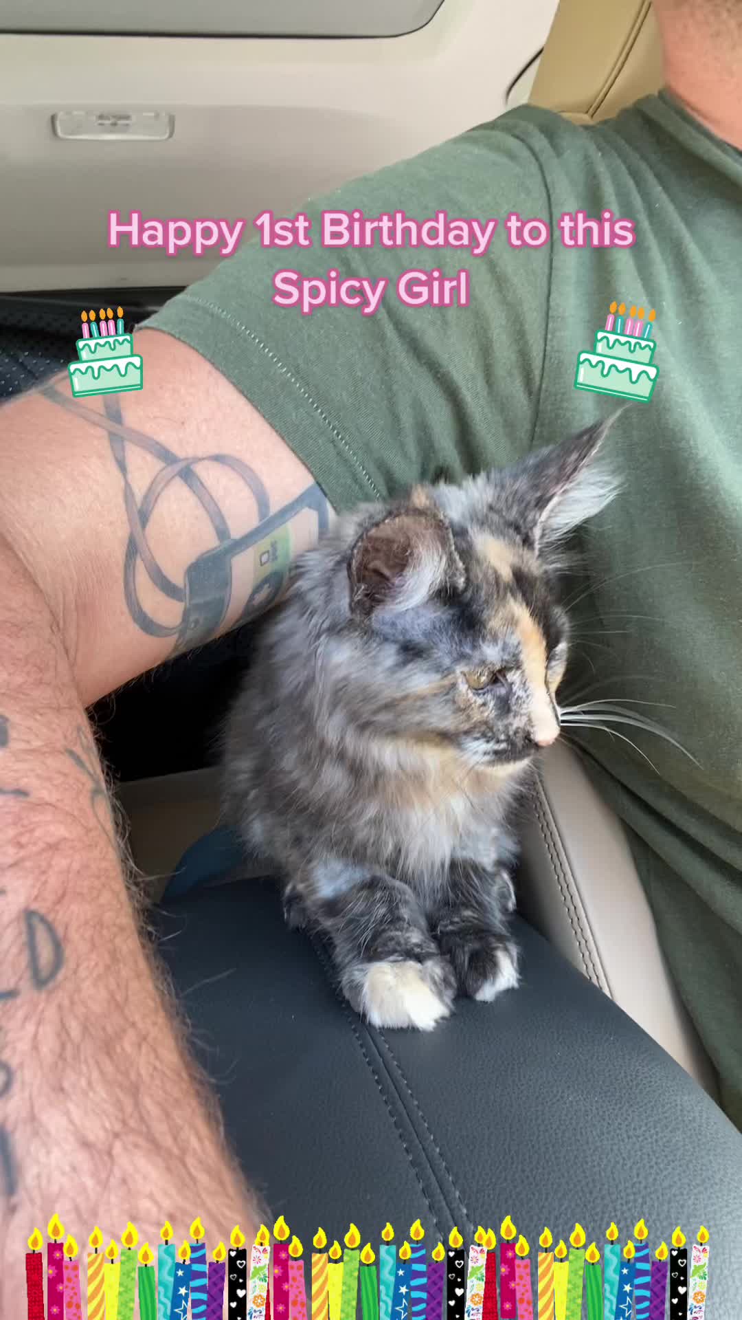 @kittensinparadise