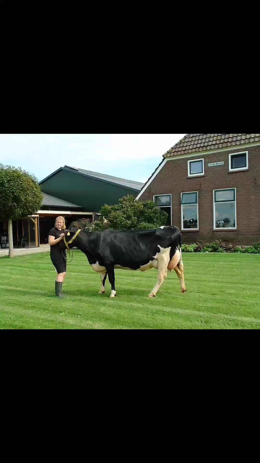 @Linda Koersen
