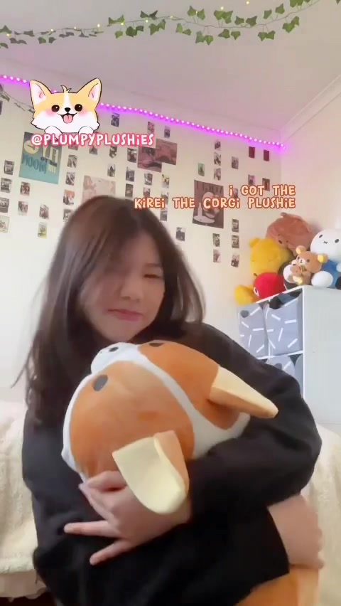@plumpyplushies